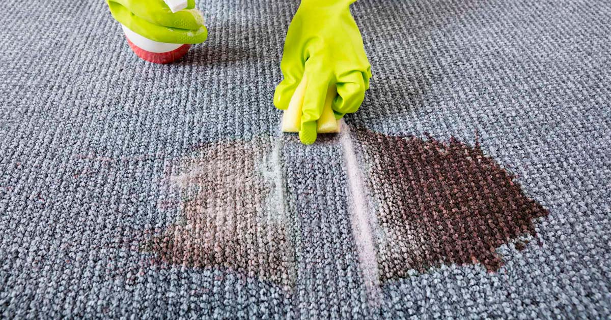 بهترین اسپری لکه‌بر فرش و مبل