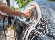 بهترین شامپو خودرو
